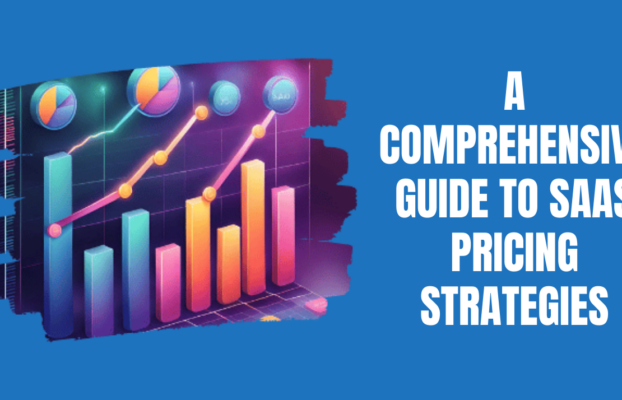 Pricing Strategies for SaaS ROI in 2025: Want to Boost? Here’s How.